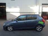 2007 Skoda Fabia II (542)